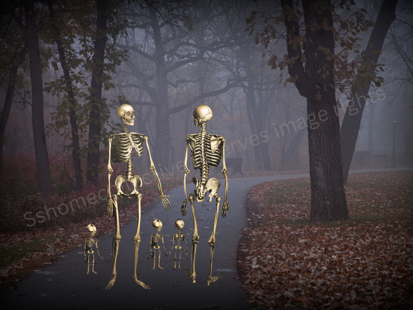 Skeleton Family of 5