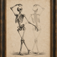 Framed vintage-style skeleton illustration on aged beige paper, shown in a dark wood frame against a light neutral wall.