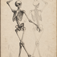 Vintage scientific illustration of two human skeletons posed dynamically on aged beige paper, rendered in fine black ink lines.