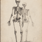 Vintage Layered Skeleton Printable | Antique Skeleton Wall Art | Halloween Digital Download