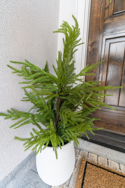 Real Touch Faux Norfolk Pine Tree